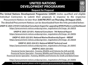 United Nations Development Programme Tender Notice